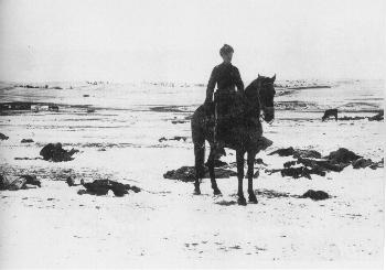 Schofield arrived at Wounded Knee in time to bury the dead.